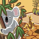 Why Koala has a Stumpy Tail